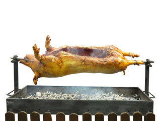 Roasting Pig barbeque Over Charcoal at Rotisserie isolated over white