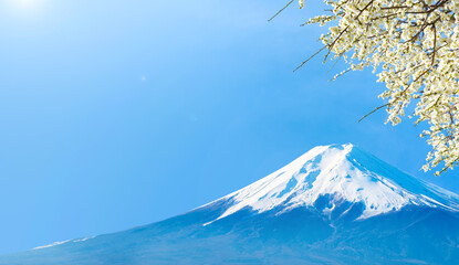 富士山と梅の花と青空