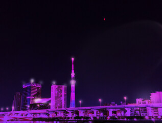 東京の月夜