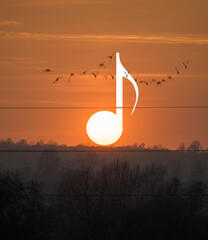 Sunset between power lines. The sun like a musical note at sunset. Birds in flight
