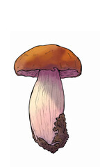 Mushroom