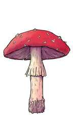 Toxic mushroom