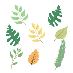 set of leaf ilustration