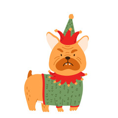 Christmas dog bulldog dressed in costume Christmas elf. Cartoon animal puppy Isolated vector illustration for t shirt print, game, textile, pet icons, kids design.