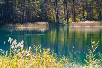 るり沼の映り込み