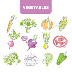 Set of images of vegetables. Radishes, corn, carrots, pumpkin, beets, onions.
