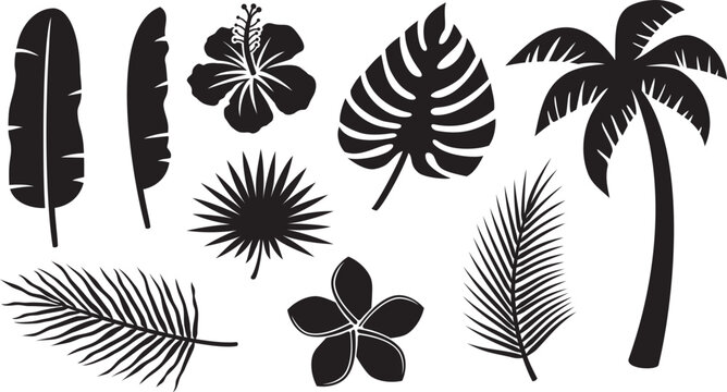 Tropical Plants Icons Collection (Hibiscus, Banana Leaf, Palm Tree,  Monstera, Frangipani Flower). Vector Illustration. 