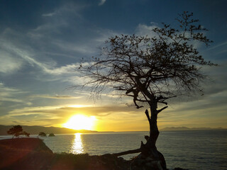 Tree Silhouette under Beautiful sunset at Lamreh Hill