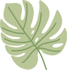 Fototapeta na wymiar simplicity monstera leaf freehand continuous line drawing flat design.