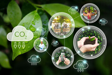 Carbon credits, Net zero emission, Clean technology, Renewable energy concept.