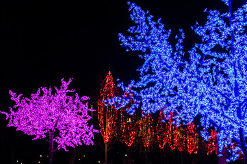 Trees with colorful illumination at night