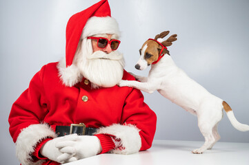 Santa claus and santa's helper in sunglasses on a white background. Jack russell terrier dog in a deer costume.