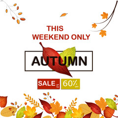 Fototapeta na wymiar Illustration of Autumn fall leaves and sale text on white background. Happy Autumn
