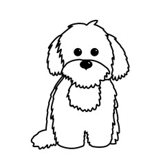 Fluffy maltipoo linear icon. Line with editable stroke. Black and white puppy icon in vector.