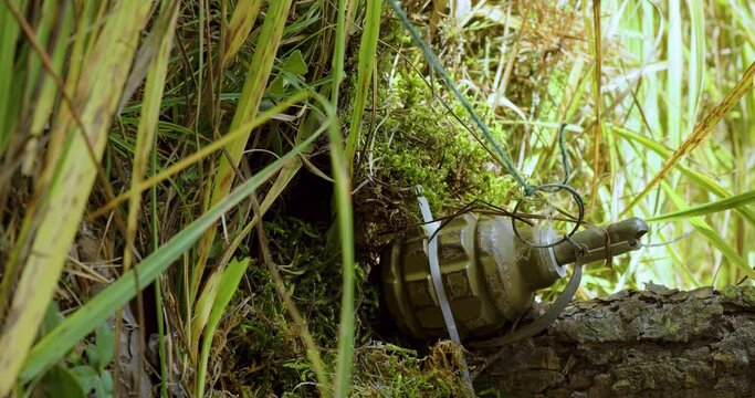 Vertical video of a soldier clearing a grenade with a tripwire. Stretched wire of enemy trap in forest.