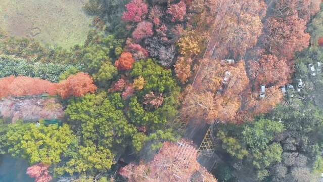 Hubei Wuhan East Lake Scenic Area Autumn Aerial Photography Scenery