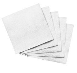 Paper Napkin