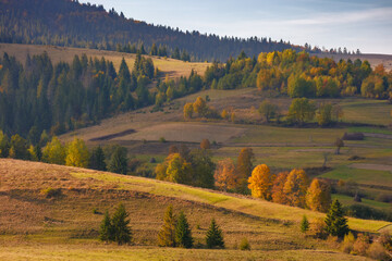 rural fields and meadows on rolling hills. countryside landscape in carpathian mountains on a sunny autumn evening
