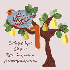 The twelve days of Christmas. First day. Partridge in a pear tree. Christmas concept.