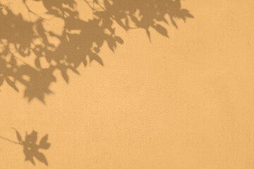 Plant leaves shadow on light orange concrete wall texture with roughness and irregularities....