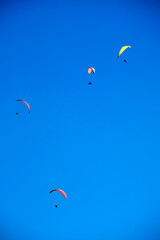 Photo shoot of the flight of a paragliding group