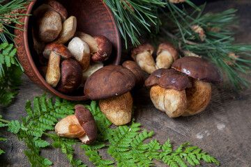 Imleria Badia or Boletus badius mushrooms commonly known as the bay bolete and clay bowl with mushrooms on vintage wooden background.