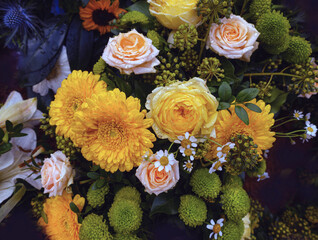 Blumen Blüten Tropfen Trauer