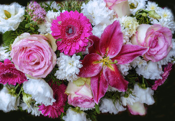 Blumen Blüten Tropfen Trauer