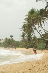 Original Sri Lanka with its cultural code and identity. Traffic, national and religious customs,...