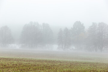 Obraz na płótnie Canvas Foggy morning on the lake. Autumn landscape.