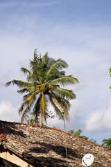 Original Sri Lanka with its cultural code and identity. Traffic, national and religious customs,...