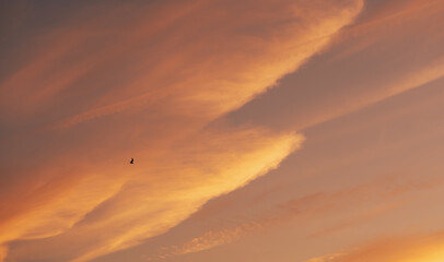 Amazing orange sunset sky. Beautiful sky and clouds color with airplane tracks.