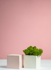 Fototapeta premium Cubic podiums in white and pink and moss green. Still life for presentation cosmetic products. copy space.