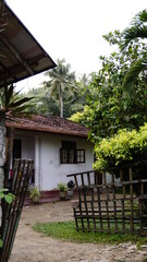 Original Sri Lanka with its cultural code and identity. Traffic, national and religious customs,...