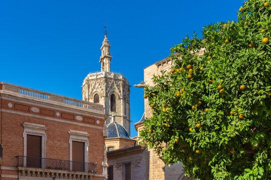 Valencia - Espa&ntilde;a, diferentes vistas tur&iacute;sticas de la ciudad, puentes, monumentos, calles y parques