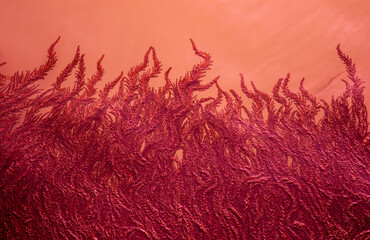 Red algae in the turbid water. Beautiful natural red background.