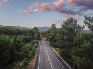 Carretera vista dron en el bosque