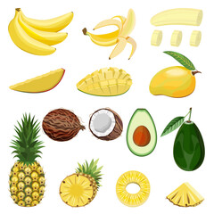 A collection of ripe,juicy fruits pineapples,bananas,avocado,mango,coconut,isolated on a white background.Vector set for designs of cosmetics,food products,restaurant menus,textiles,postcards.