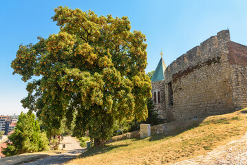 Fototapeta na wymiar Belgrade, Serbia - 06 August, 2022: Church of the Holy Mother of God (Crkva Ruzica) in Belgrade Fortress or Beogradska Tvrdjava consists of the old citadel and Kalemegdan Park.