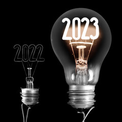 Light Bulbs with New Year 2023