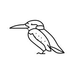 kingfisher bird exotic line icon vector illustration