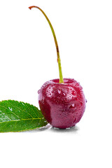 Ripe cherry in drops of water, isolated on a white background, macro photography