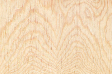 Obraz premium plywood texture with natural wood pattern