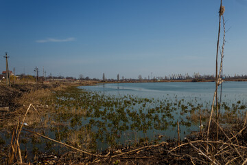 lake landscape with burnt reeds and grass around, natural fire, environmental protection, global earth problem, drought and climate change