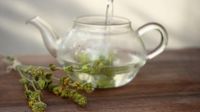 Pouring boiling hot water in glass teapot with dried ironwort plants (Sideritis, Mountain Tea or shepherd's tea). Making healthy herbal infusion, herbal tea concept.