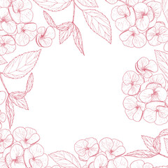 Floral square frame of hydrangea flowers and leaves in pink color on a white background. Contour vector drawing.