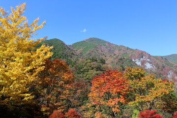 高の瀬峡　駐車場からの景観　秋　（徳島県）