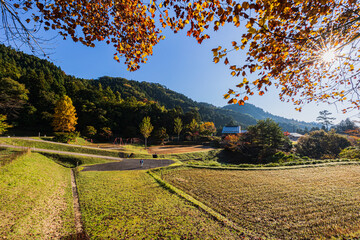 紅葉風景