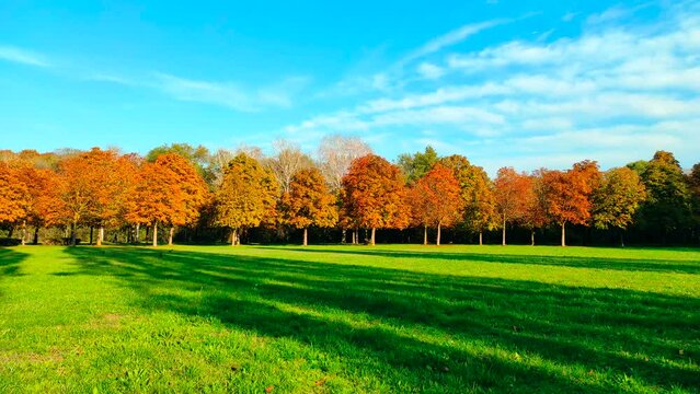 Autumn season in an urban park, Milan, Italy. 4k video time lapse.