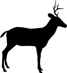 Deer Animal Silhouette